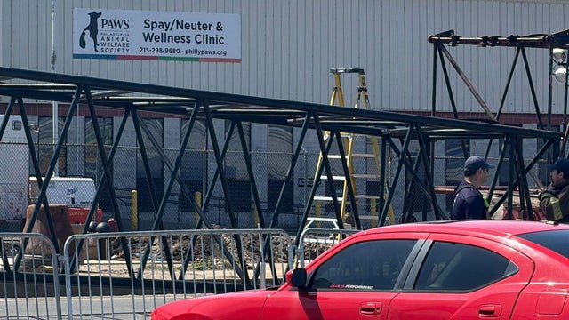 paws-philadelphia-animal-shelter-collapse.jpg 