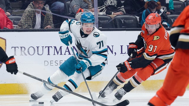 Sharks Ducks Hockey 