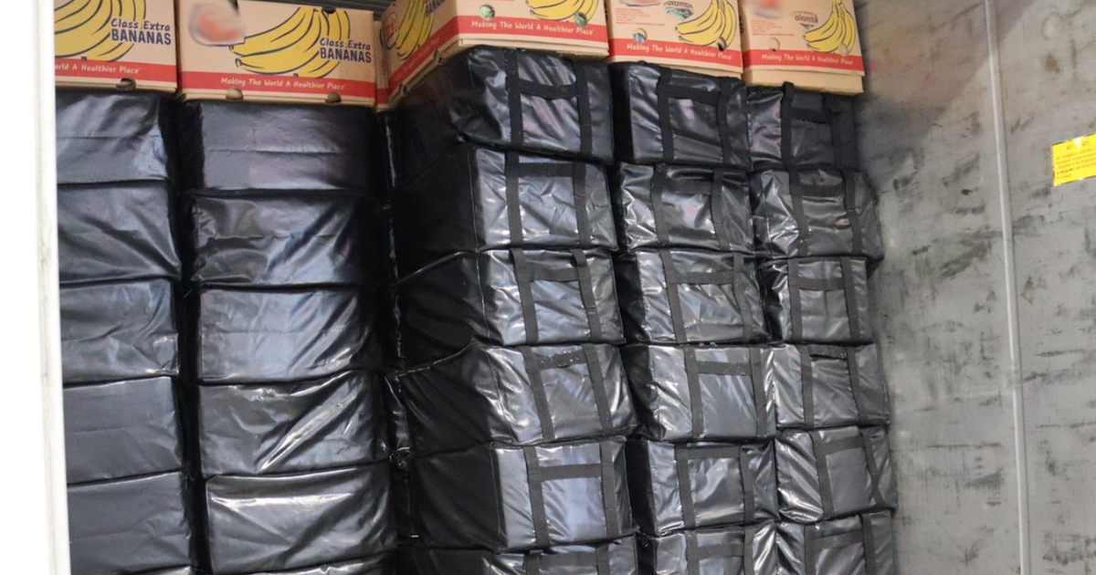 Authorities seize 5 tons of cocaine from banana, wine shipments