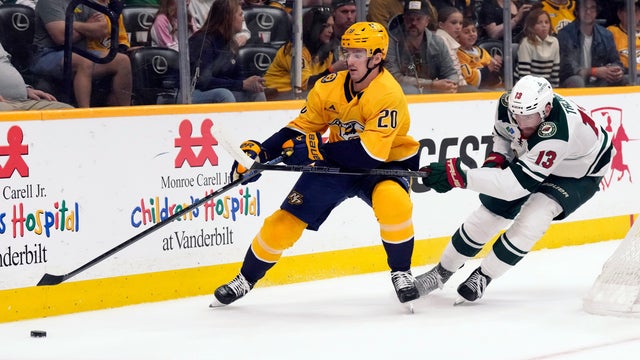 Wild Predators Hockey 