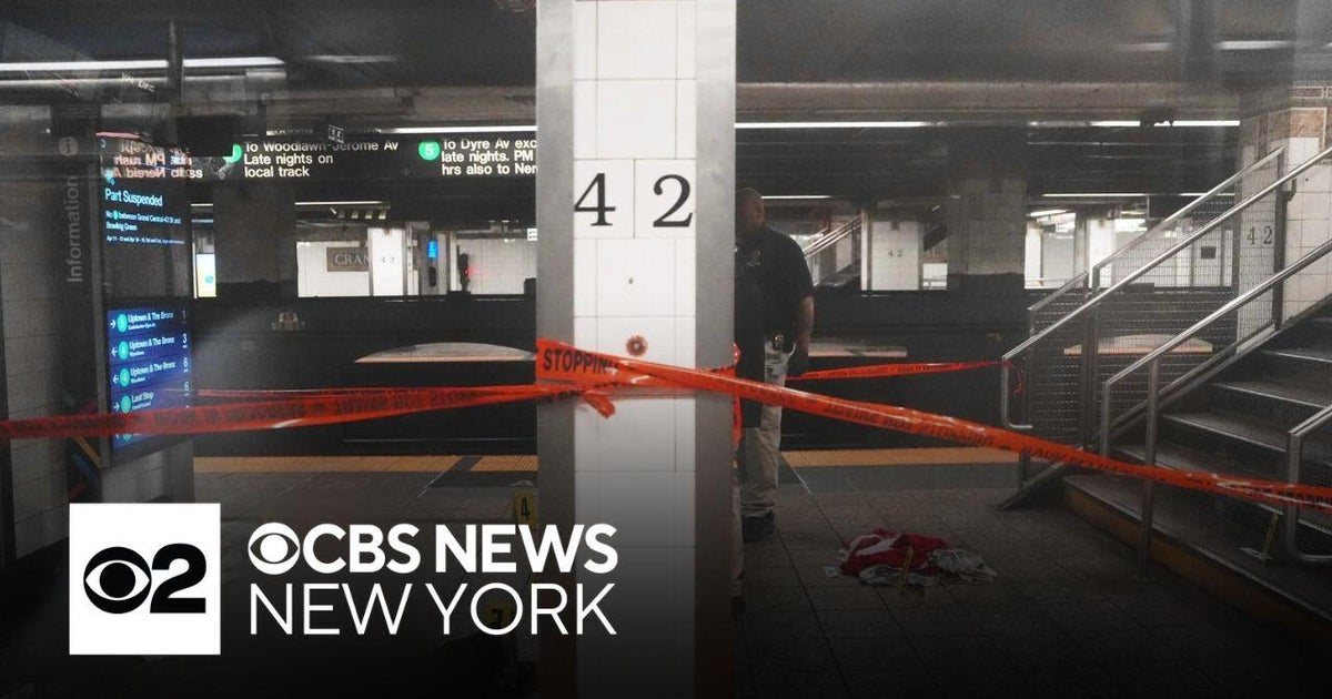 Man killed by police after allegedly slashing 3 inside Grand Central ...