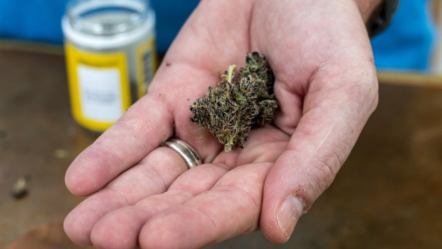 GARLAND, TX-JULY 22: Hippy Bee Dispensary owner Chris Fagan hol 