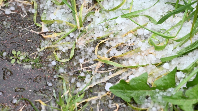 Hailstorms in the Southern Palatinate 