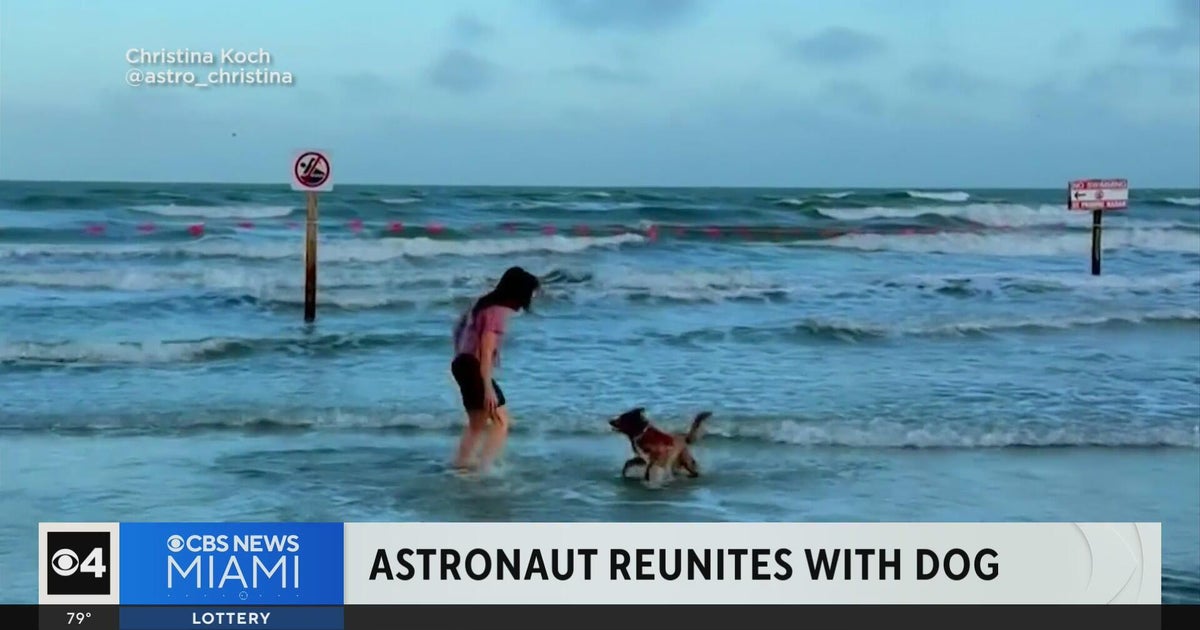 Koch's Canine Confidante: A Tearful Reunion and the Billion-Dollar Implications of Lunar Loyalty