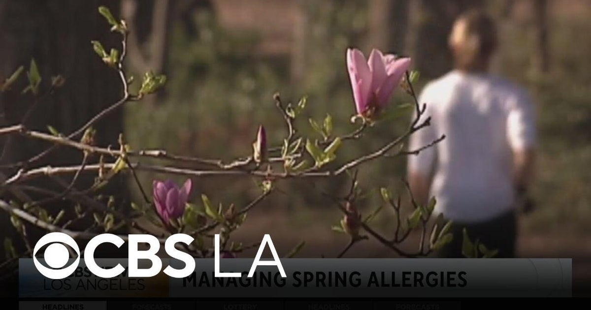 Doctor discusses how to manage spring allergies - CBS Los Angeles