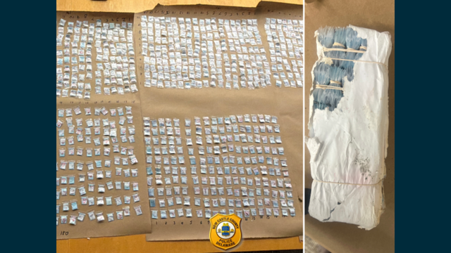 14,000 bags of fentanyl found in the woods in New Castle County, Delaware 