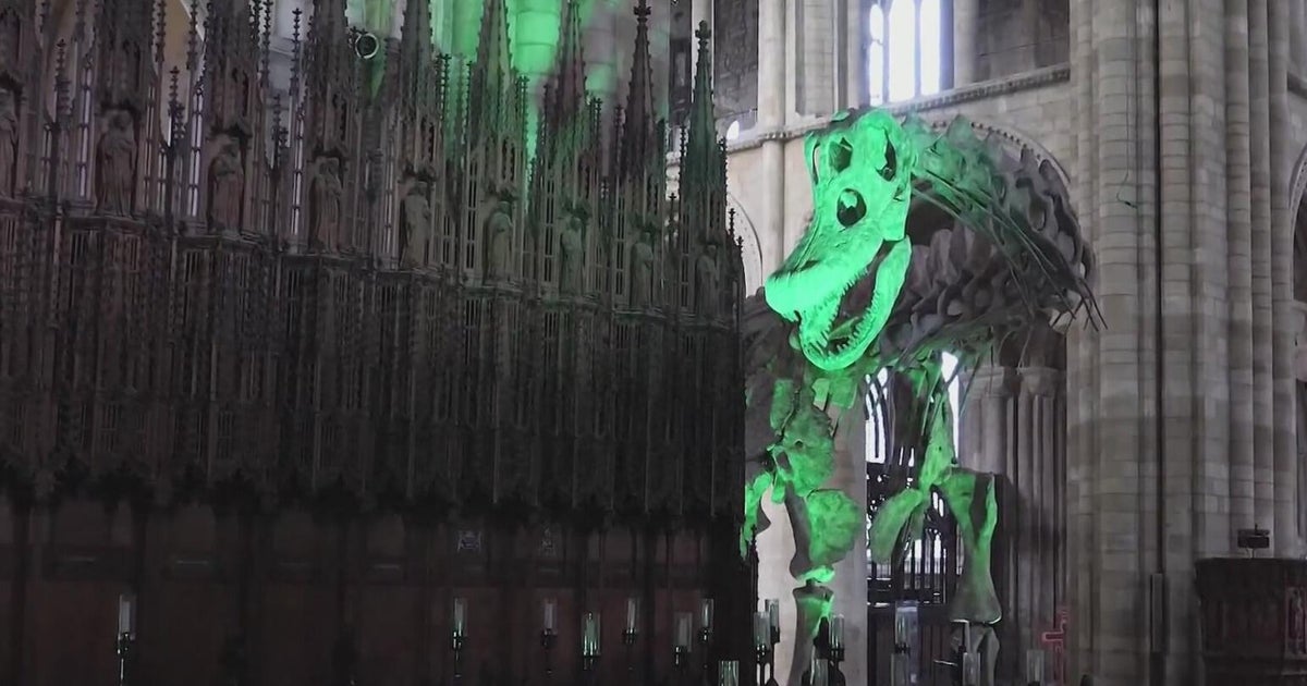 giant-titanosaur-draws-crowds-inside-u-k-cathedral-to-boost