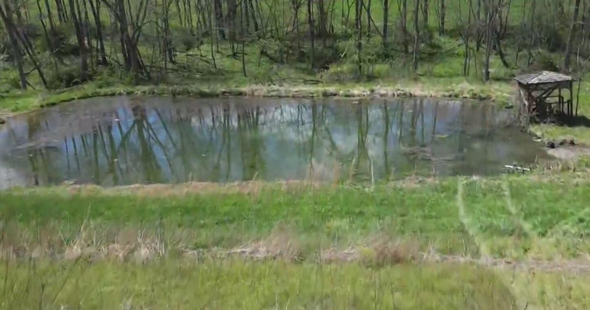 Officer saves woman after she drove her car into pond - CBS Pittsburgh