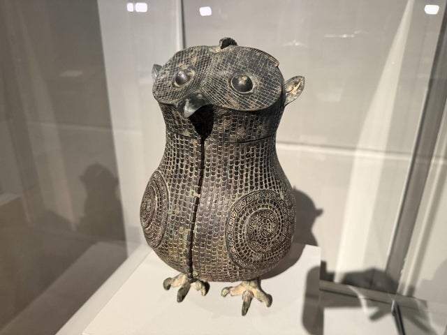 3,000-year-old owl accidentally damaged by visitor back on display