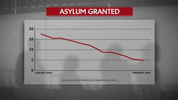 asylum-granted-graphic.jpg 