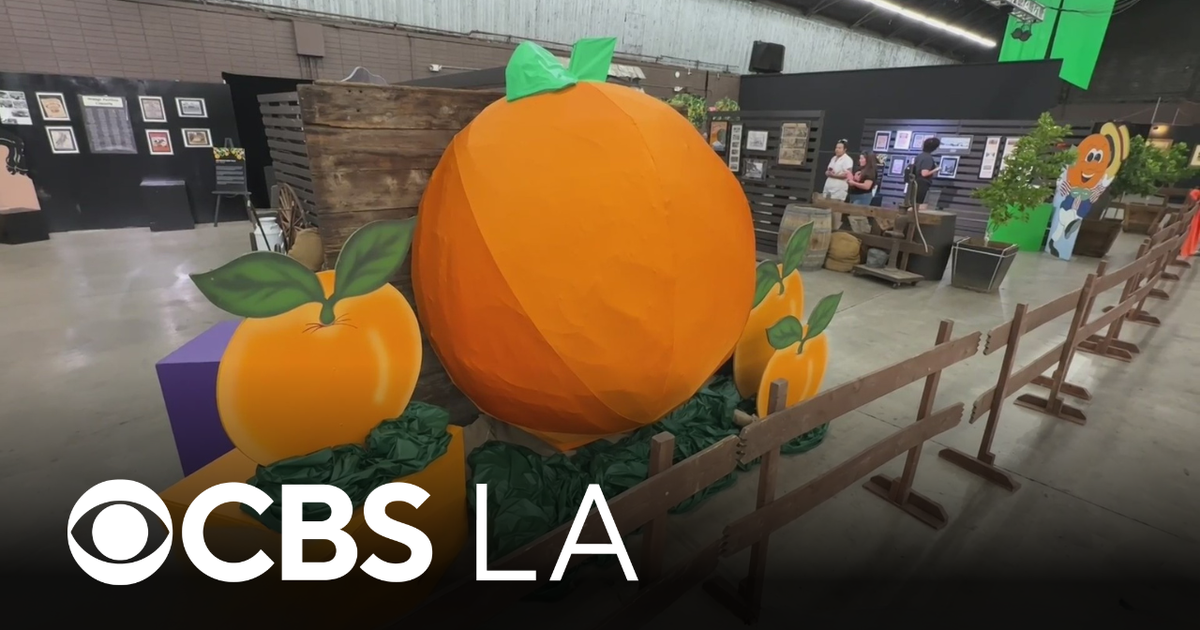 109th National Orange Show draws crowds to San Bernardino - CBS Los Angeles
