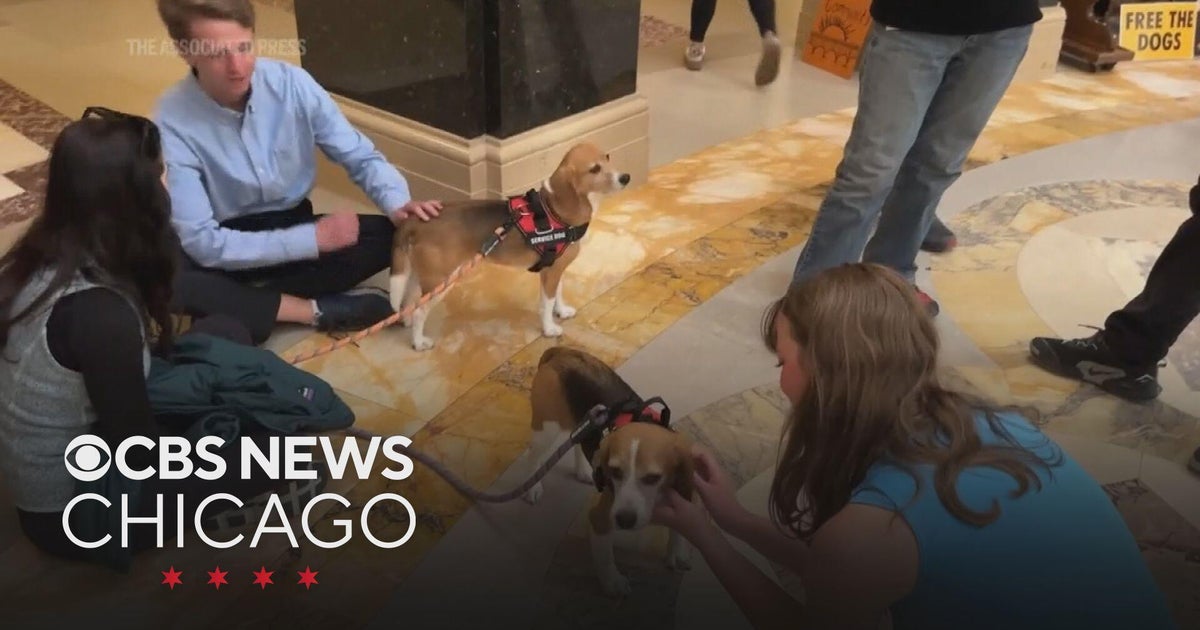 Activists demand Wisconsin governor take action to free beagles from research facility