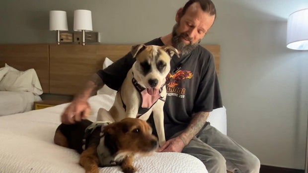 Michael Trump in an emergency hotel room with his two dogs