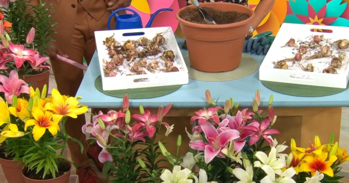 Exclusive discounts from CBS Mornings Deals