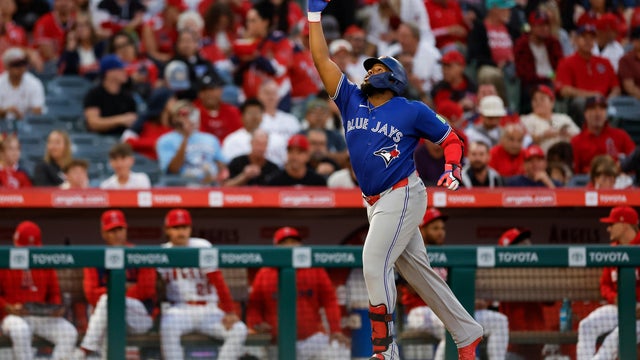 Blue Jays Angels Baseball 
