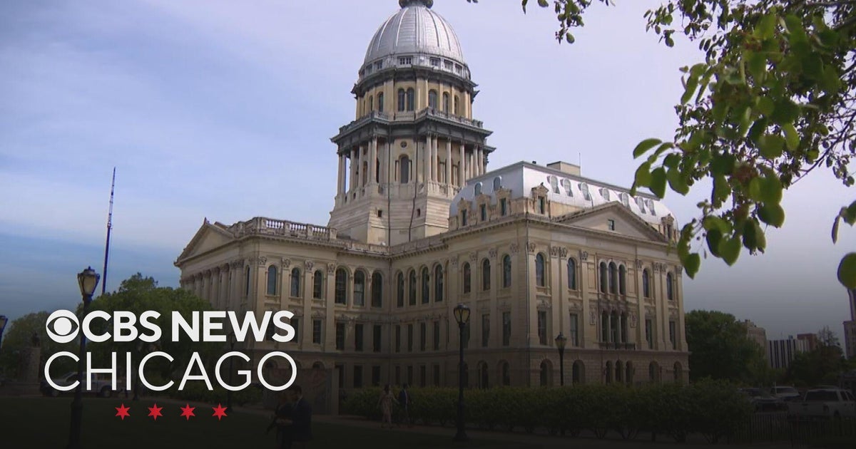 Illinois lawmakers advance legislation helping Bears' Arlington Heights stadium bid