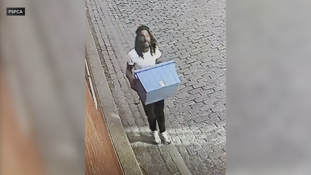 Person of interest in two cases of animal abuse in Philadelphia 