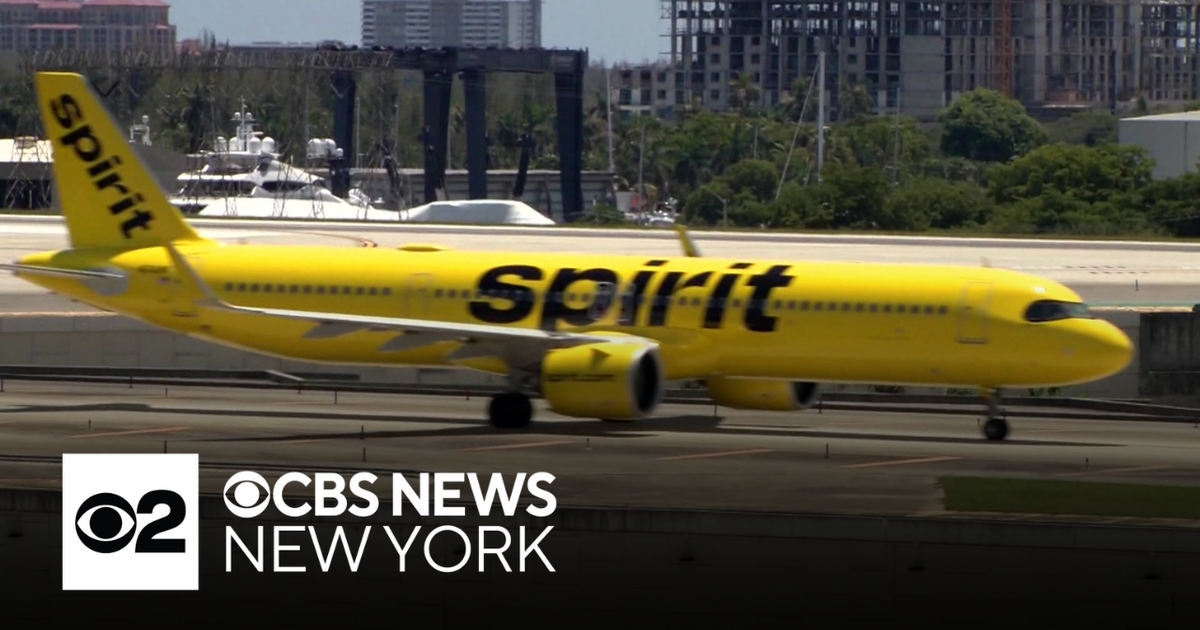 Trump administration, Spirit Airlines discuss bailout, sources say ...