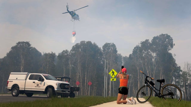 Wildfire Burns In Picayune Strand State Forest Near Naples, Florida 