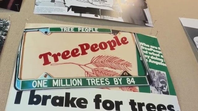 tree-people.jpg 