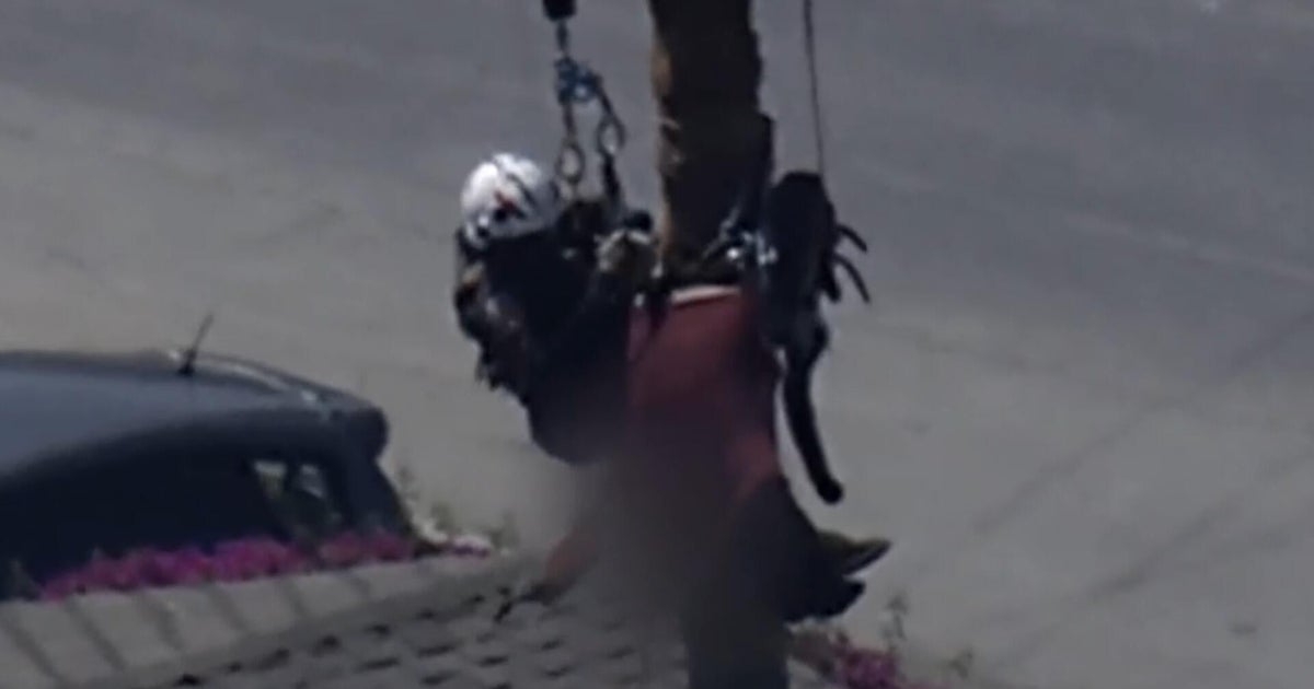 California helicopter crew saves worker dangling from 75-foot tree