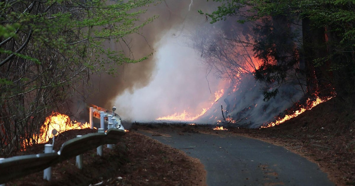 Wildfires burn across Florida and Georgia