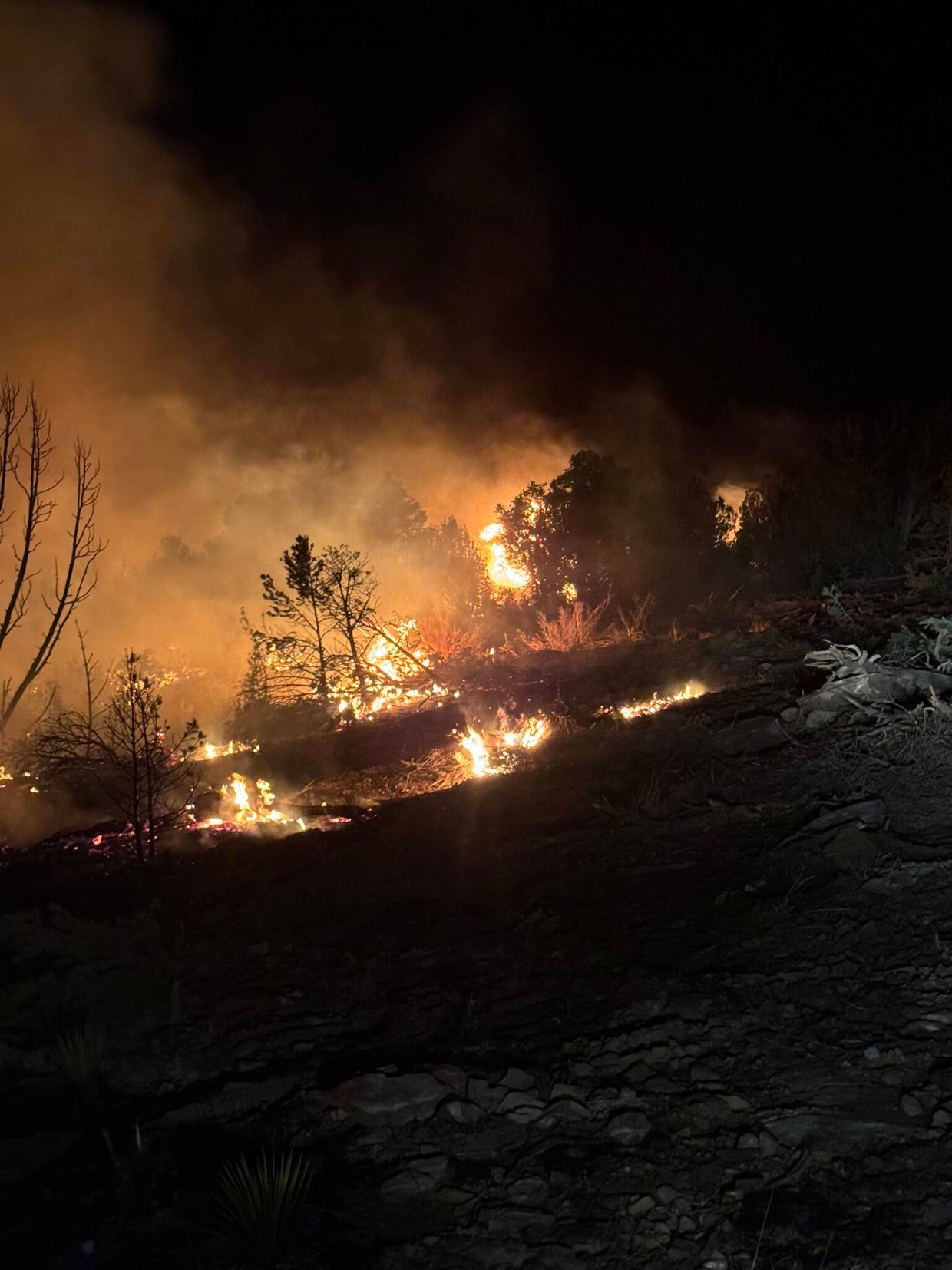 Cooler weather slows growth of Poitrey Canyon Fire in southeast ...