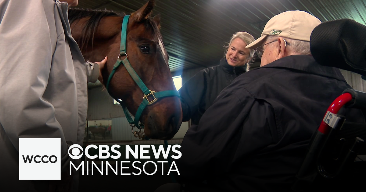 How professional therapy horses are helping seniors in central Minnesota