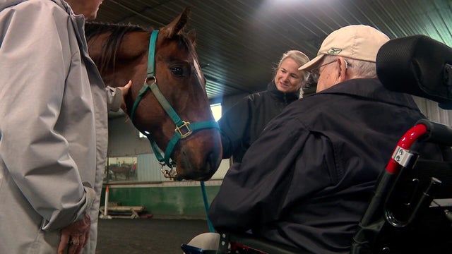 6p-pkg-seniors-horse-therapy-wccoabpp.jpg 