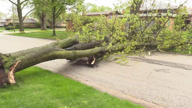storm-damage.jpg 