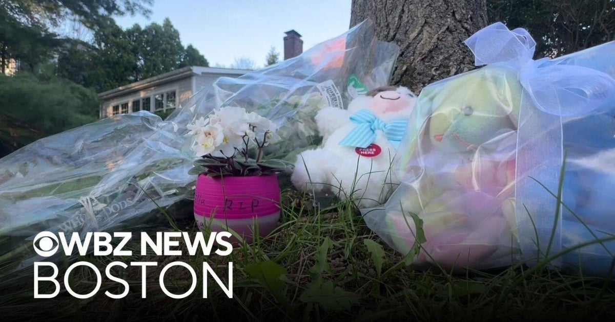 Wellesley mother charged with murdering her 2 children set to face ...
