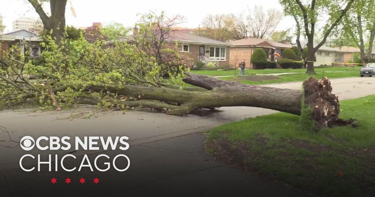 High wind warning for parts of Chicago area, downed trees and power ...