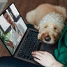 Young Asian woman having online medical consultation with veterinary via laptop with her dog sitting on her lap 