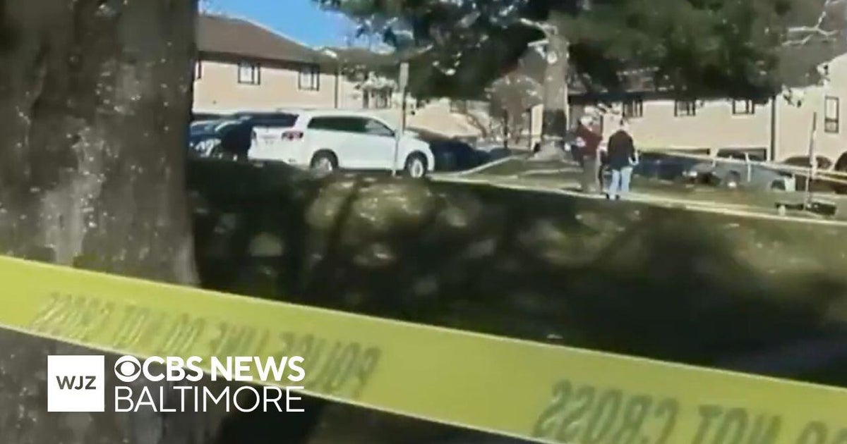 Undocumented immigrant shot by ICE agents in Maryland pleads guilty to federal charge