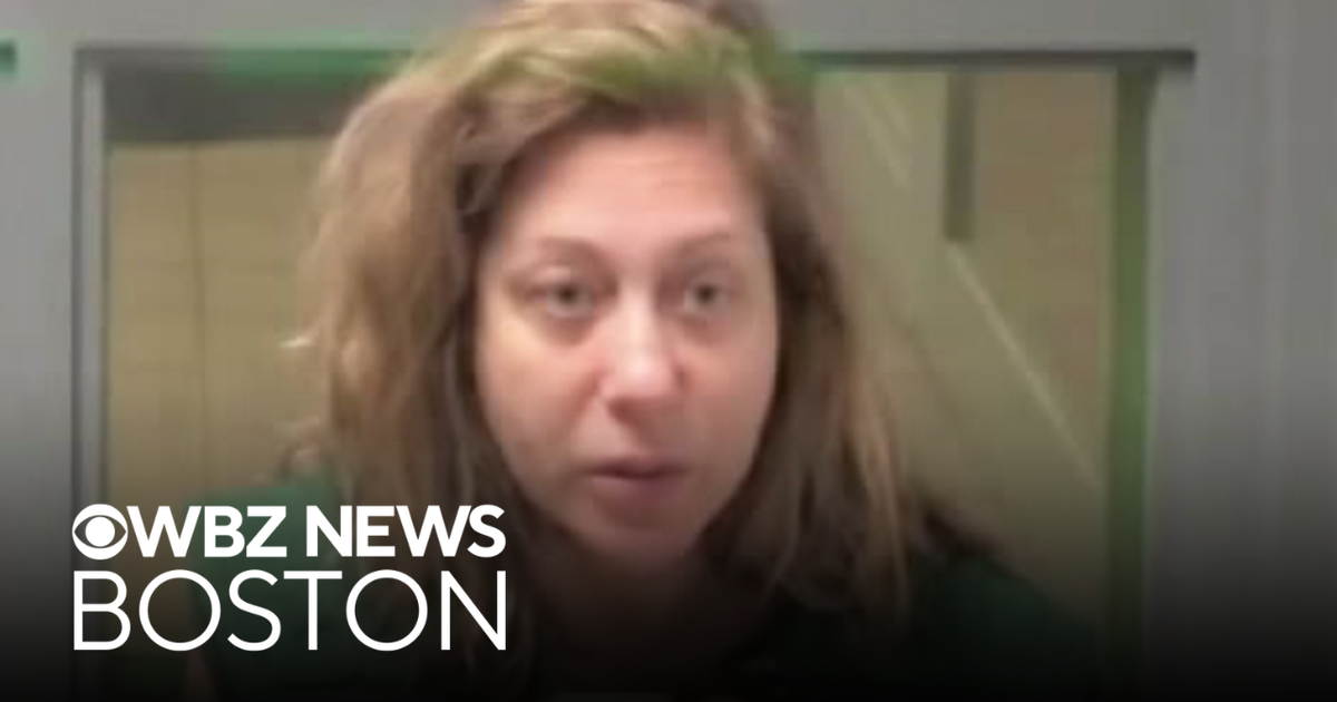 Wellesley mother accused of killing 2 children will face murder charges ...