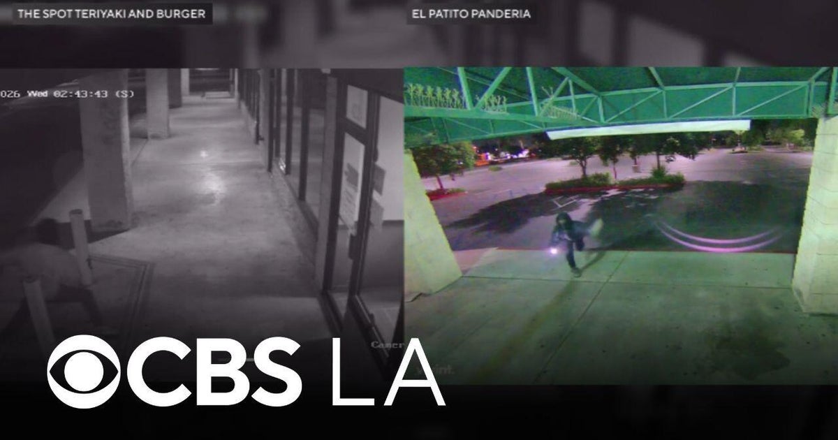 Burglar breaks into four San Gabriel Valley businesses in one night