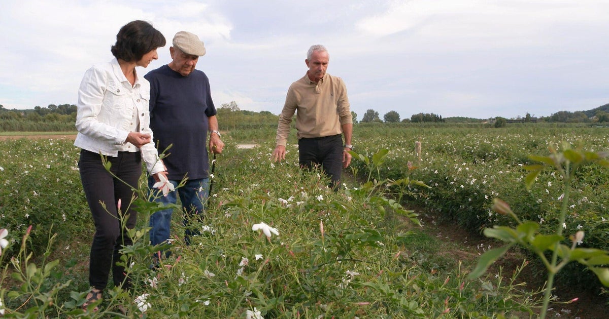 Discover the town behind the world's most famous perfume