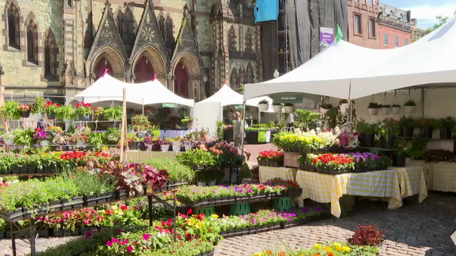 Flower Mart Returns to Baltimore 
