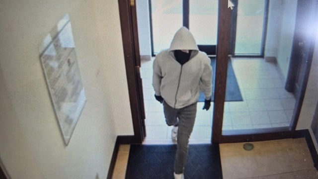 Fatal Bank Robbery 