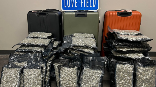 love-field-bust.png 