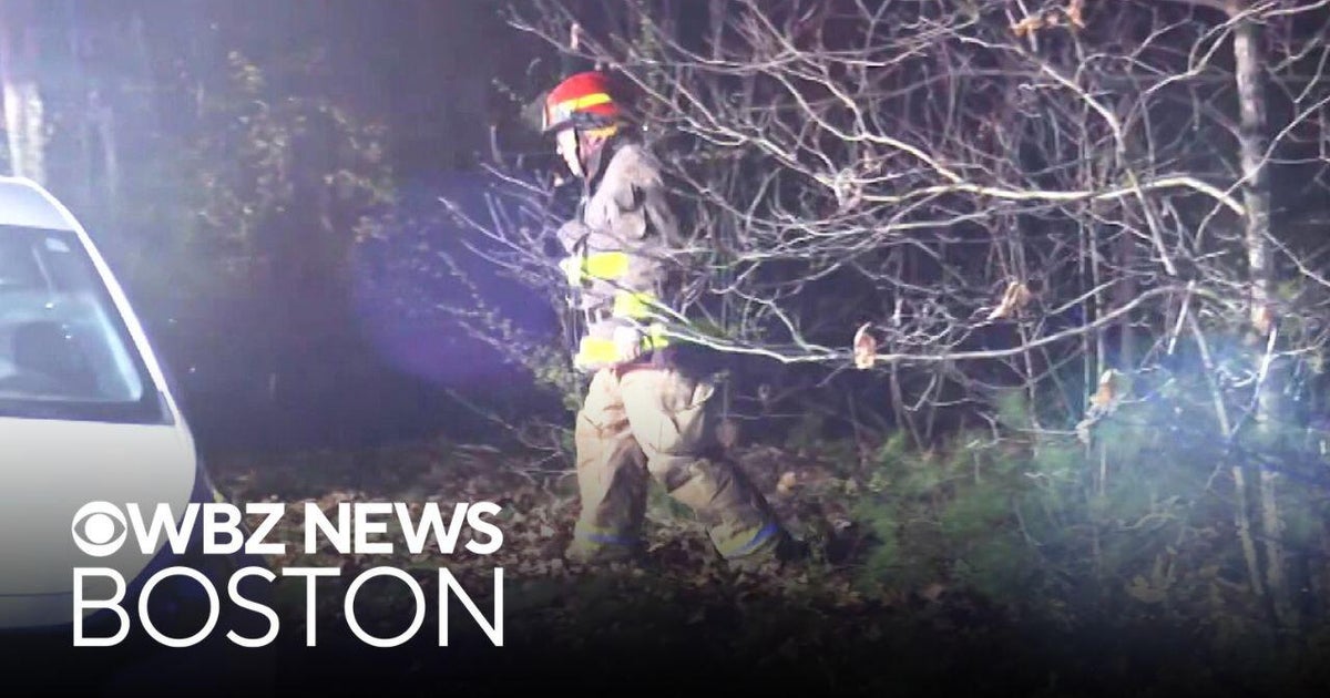 Pilot rescued after small plane crashes into Quabbin Reservoir - CBS Boston