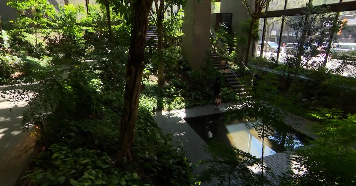 A garden with 40 types of trees, shrubs and flowers... in a New York City lobby