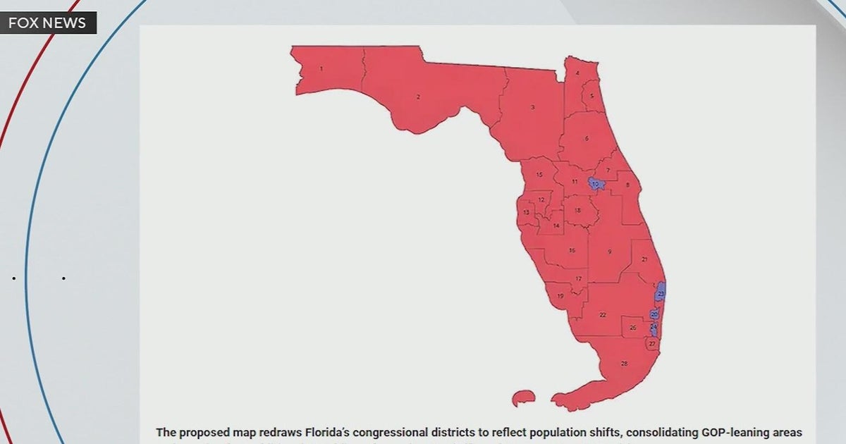 Florida state senator slams new congressional map
