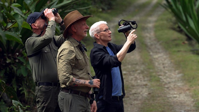 Birding in Colombia 