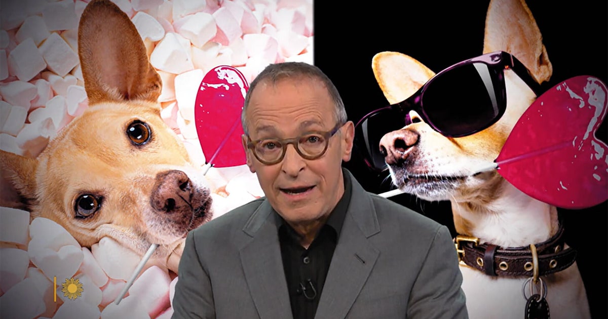 David Sedaris on dogs and the people who obsess over them