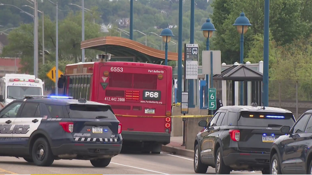 prtbusstabbing.png 