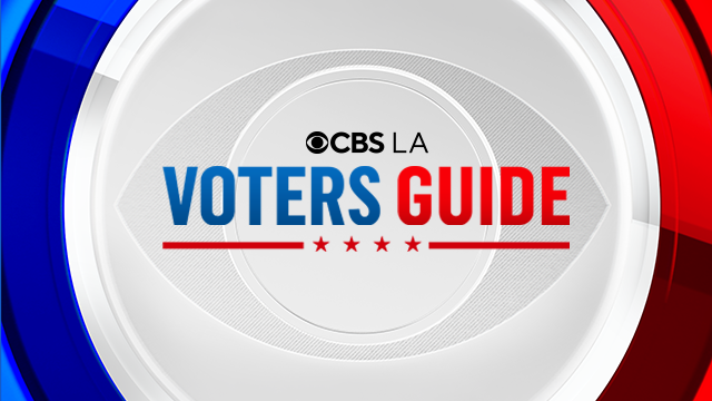 thumbnail-voters-guide.png 