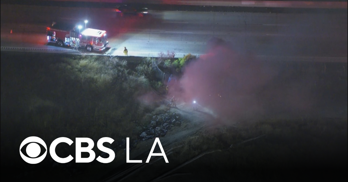 Fire burns under 110 Freeway in San Pedro - CBS Los Angeles