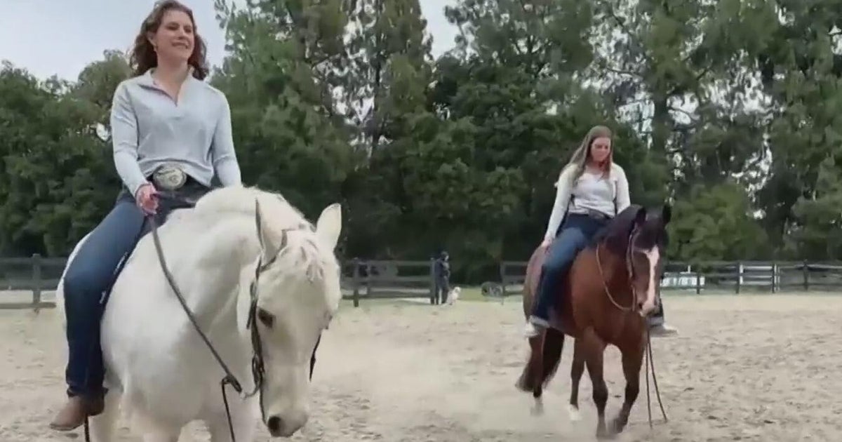 UC Davis equestrian team hope to get program reinstated