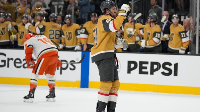 Ducks Golden Knights Hockey 